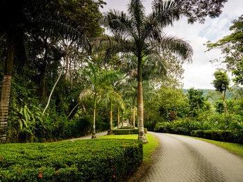 Hotel Punta Leona