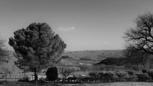 Hostal Agriturismo Fattoriale Le Origini