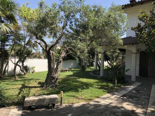 Hostal Agriturismo Sa Crannaccia