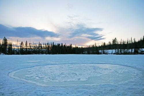 Hotel Lac Le Jeune Wilderness Resort