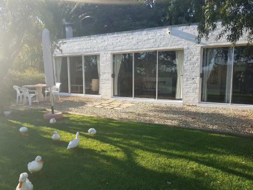 Villa Chelaya Country Lodge