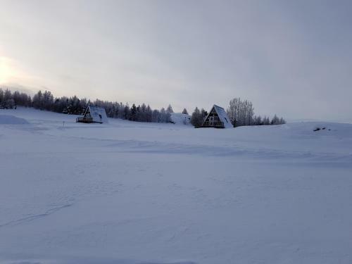 Skipalaekur Cottages
