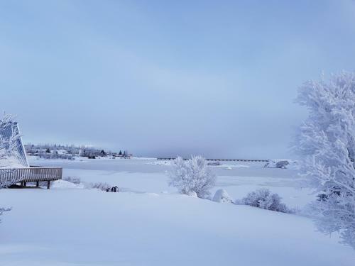 Skipalaekur Cottages