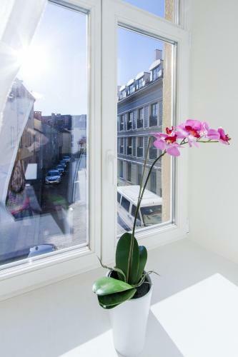 Real House Apartments