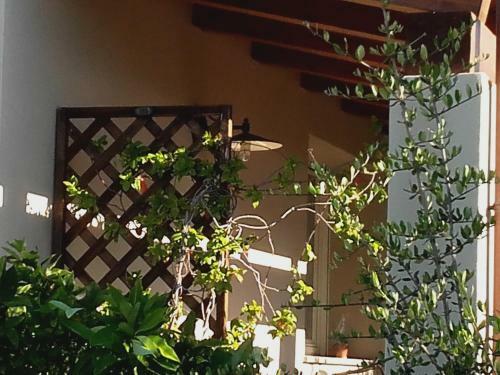 Bed & Breakfast La Balia