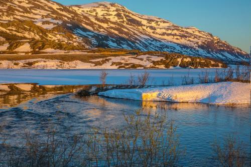 Hostal Abisko Guesthouse