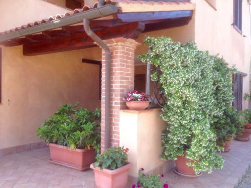 Apartamento Appartamenti Gli Ulivi Di Maremma
