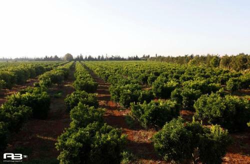 Agroturismo Gite Karima
