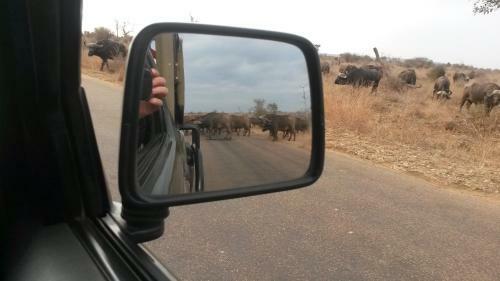 Phumula Kruger Lodge And Safaris