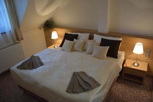 Hotel Z�mek Velk� Byst?ice