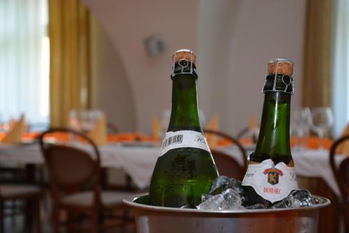Hotel Z�mek Velk� Byst?ice