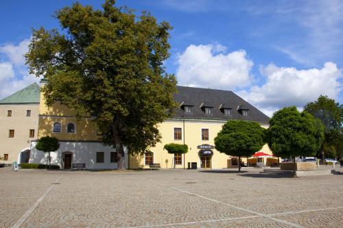 Hotel Z�mek Velk� Byst?ice