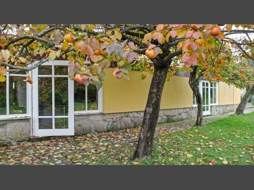 Agroturismo Casa Da Eira De Gondomil