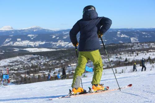 Hotel Gomobu Fjellstue