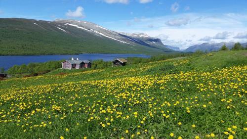Hotel Gomobu Fjellstue