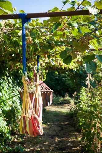 Agroturismo Reitoral De Chandrexa