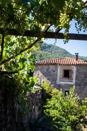 Agroturismo Reitoral De Chandrexa