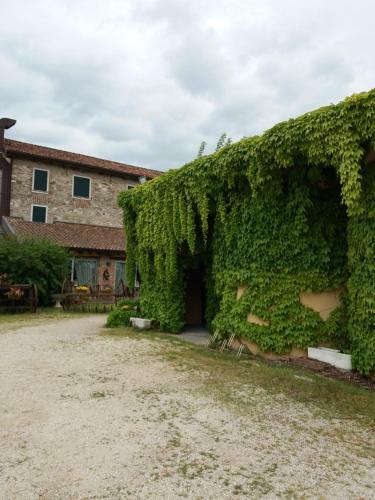 Hostal Agriturismo Antiche Mura