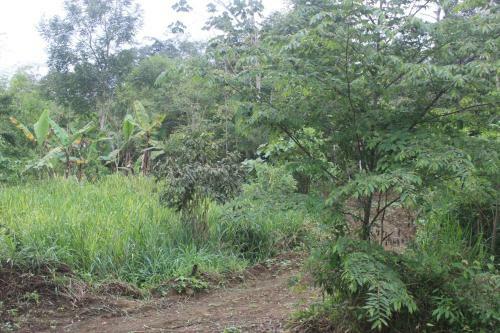 Agroturismo Finca Hoster�a Bella Aurora