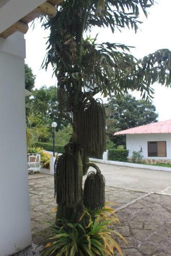Agroturismo Finca Hoster�a Bella Aurora