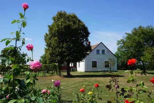 Hostal Edit Vend�gh�z