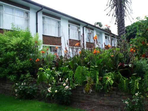 Apartamentos Jamaed Court Holiday Flats