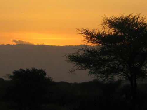 Tembo Tarangire Lodge & Camp