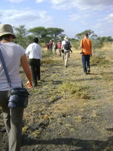 Tembo Tarangire Lodge & Camp