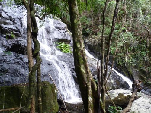 Agroturismo Bellthorpe Stays