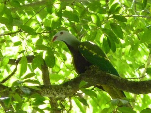 Agroturismo Bellthorpe Stays
