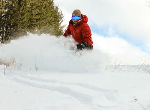 Hotel Canaan Valley Resort State Park