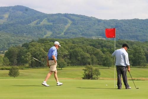 Hotel Canaan Valley Resort State Park