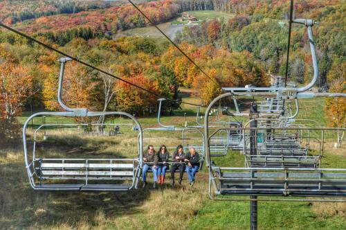 Hotel Canaan Valley Resort State Park