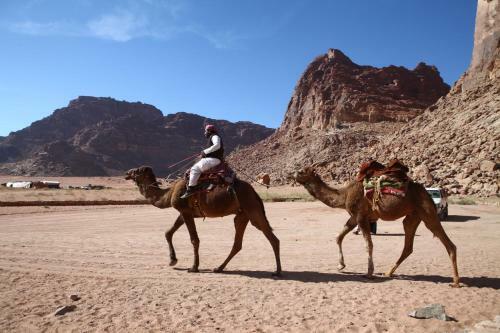 The Bedouin Meditation Camp