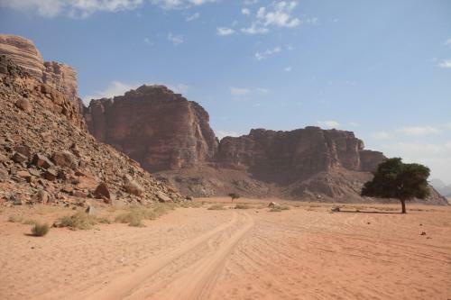 The Bedouin Meditation Camp