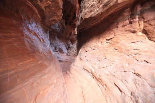 The Bedouin Meditation Camp