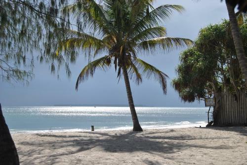Albergue Mikadi Beach Lodge