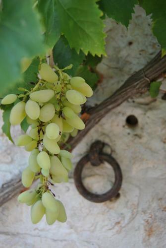 Bed & Breakfast Trulli Gallo Rosso
