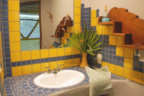 Omega Tours Eco-jungle Lodge