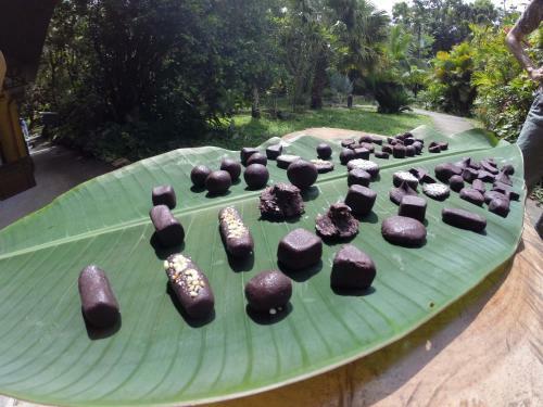 Omega Tours Eco-jungle Lodge