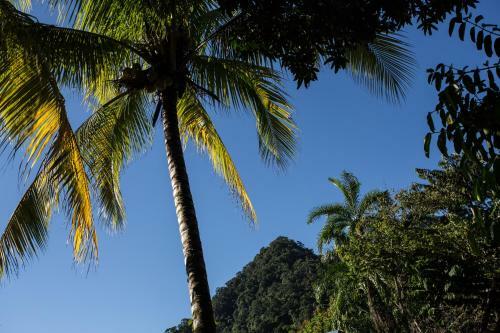 Omega Tours Eco-jungle Lodge