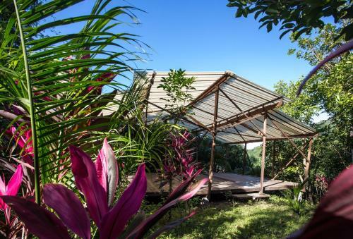Omega Tours Eco-jungle Lodge