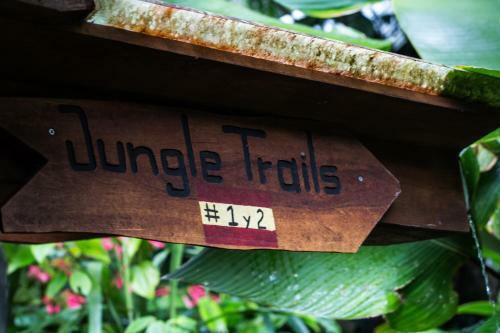 Omega Tours Eco-jungle Lodge