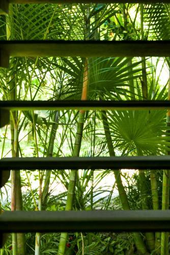 Omega Tours Eco-jungle Lodge