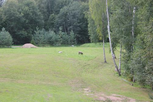Agroturismo Prie Klykio Manor