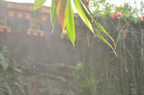 Hotel Soba Lanka Holiday Resort