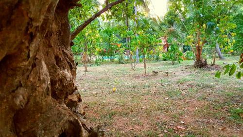 Hotel Soba Lanka Holiday Resort