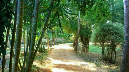 Hotel Soba Lanka Holiday Resort
