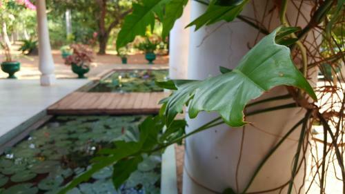 Hotel Soba Lanka Holiday Resort