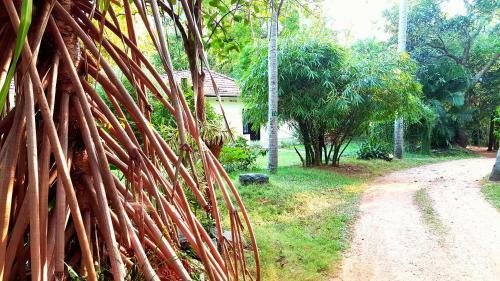 Hotel Soba Lanka Holiday Resort